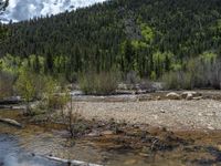 a forest is seen in this wide angle view in this photo from the bottom of the trail