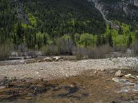 a forest is seen in this wide angle view in this photo from the bottom of the trail