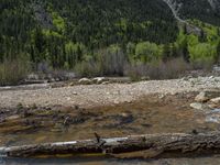 a forest is seen in this wide angle view in this photo from the bottom of the trail