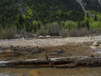 a forest is seen in this wide angle view in this photo from the bottom of the trail