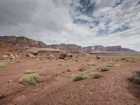 an arid plain and rocky landscape with a cloudy sky in the background under a thin, slightly blue sky