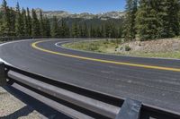 Colorado Road: Forest and Mountain Landscape