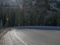 Colorado Road: Through Forest Shadows and Snow