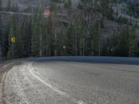 Colorado Road: Through Forest Shadows and Snow