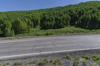 the road next to the green field has many blue flowers on it and a motorcycle