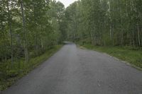 Colorado Road Landscape with Mountain and Forest