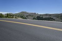 Colorado Road Landscape: Trees and Clear Skies