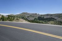 Colorado Road Landscape: Trees and Clear Skies