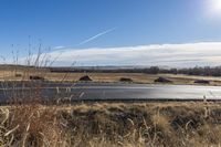 a lone road sitting next to a dry grass field with houses in the distance with no traffic on it
