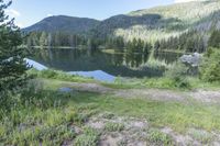 Colorado Road: Lush Grass and Wildflowers in Abundance