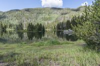 Colorado Road: Lush Grass and Wildflowers in Abundance