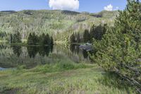 Colorado Road: Lush Grass and Wildflowers in Abundance