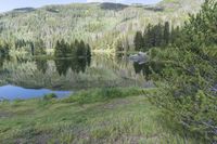 Colorado Road: Lush Grass and Wildflowers in Abundance