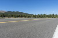 the empty road with yellow stripes goes along the edge of the forest with tall green pine trees on a clear day