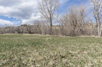 an open grassy field with trees on the horizon and mountains in the distance with one half obscured by the sky