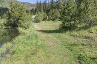 Colorado Road Through Mountain Forest to Lake