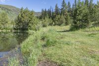 Colorado Road through Mountain Forest to Lake 003