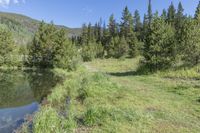 Colorado Road in Mountain Forest near Lake