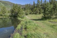 Colorado Road Through Mountain Forest to Lake