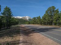 an empty road with lots of trees in the background in the wild region of colorado