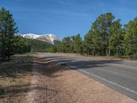 an empty road with lots of trees in the background in the wild region of colorado