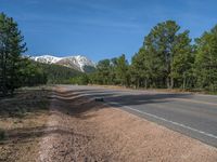 an empty road with lots of trees in the background in the wild region of colorado