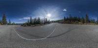 the camera lens shows the mountain road being blurred by the trees and blue skies that are dotted with confetties of a bright sun