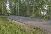 an empty road in the middle of tall grass and trees with a bench in the middle of it