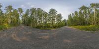 a wide angle view of a road near some tall trees and grass and a white building