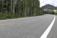 an empty, winding road and the line of trees on both sides shows up very high