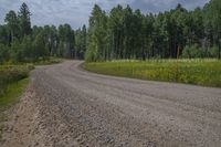 a road going through an open field and trees around it, in the wilderness of the countryside of colorado