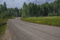 a road going through an open field and trees around it, in the wilderness of the countryside of colorado