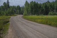 a road going through an open field and trees around it, in the wilderness of the countryside of colorado