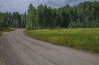 a road going through an open field and trees around it, in the wilderness of the countryside of colorado