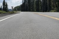 Colorado Road: Travel Through the Forest