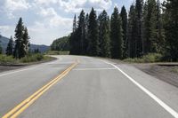 the empty road is flanked by tall trees on the side of the mountain line the road has two yellow lines and two white lines