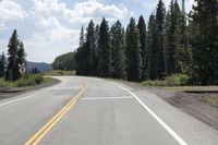 the empty road is flanked by tall trees on the side of the mountain line the road has two yellow lines and two white lines