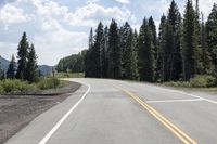 the empty road is flanked by tall trees on the side of the mountain line the road has two yellow lines and two white lines