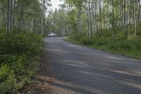 a car is parked in the middle of an open road with forest around it and trees lining the roadway