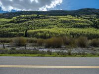 the road is paved with yellow markings and has a snowy mountain range in the background