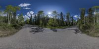 an empty road with some trees on the side and sun reflecting off the road in the background