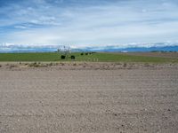 Colorado Rural Landscape: Gravel Road Leading into Nature