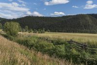 a long fence is shown near a grassy pasture in a rural setting near a cabin