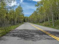 a yellow and black sign is on the street near some mountains and trees in the distance