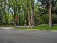 an empty street lined with trees and a mountain range in the distance in the back