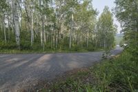 a motorcycle parked near a group of trees in a forest area while sun shines on the road