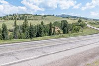 Colorado Scenic Road Landscape Forest 002