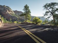 a lone road lined with pine trees between a mountain range and a steep rocky cliff