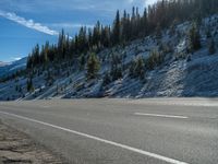 a lone person riding a motorcycle near a road with trees on it and snow in the foreground