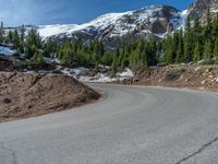 the curved road is near an evergreen mountain side area with rocks and trees in winter